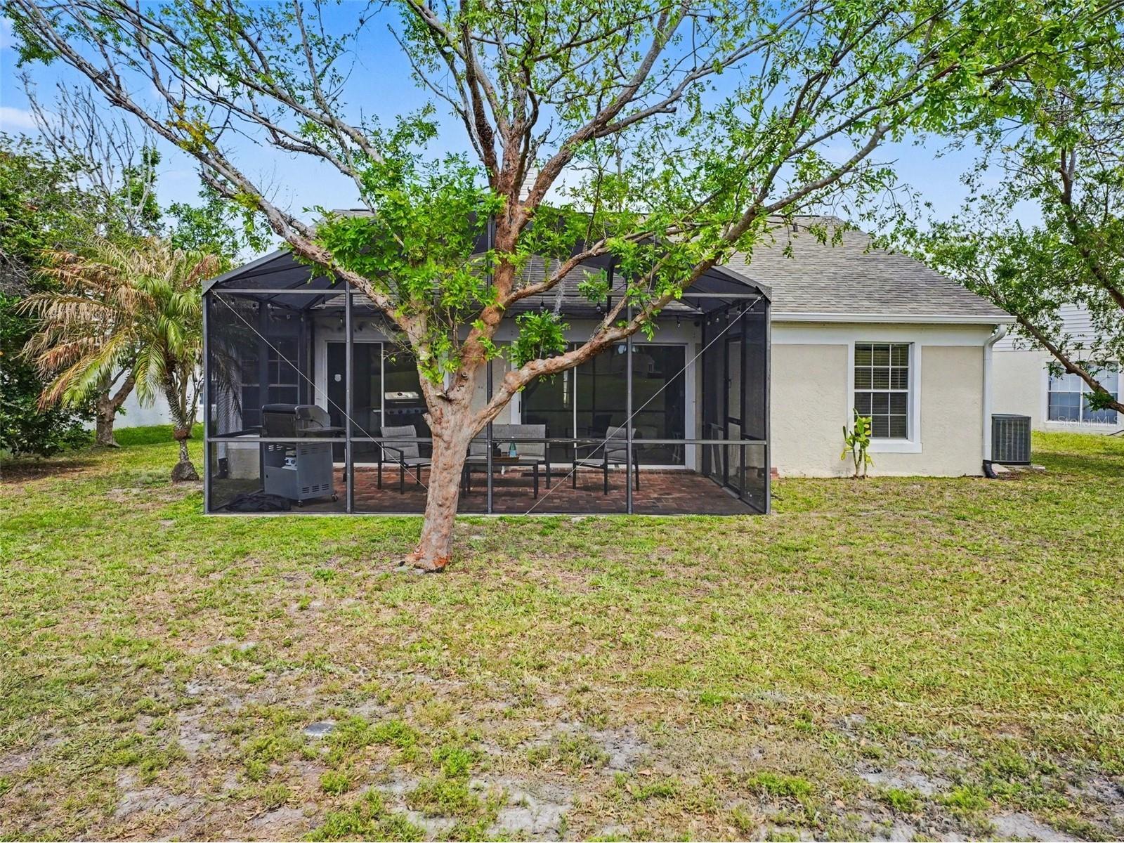 3772 Ventura Cove Dr Orlando FL 32822 TB8493073 image24