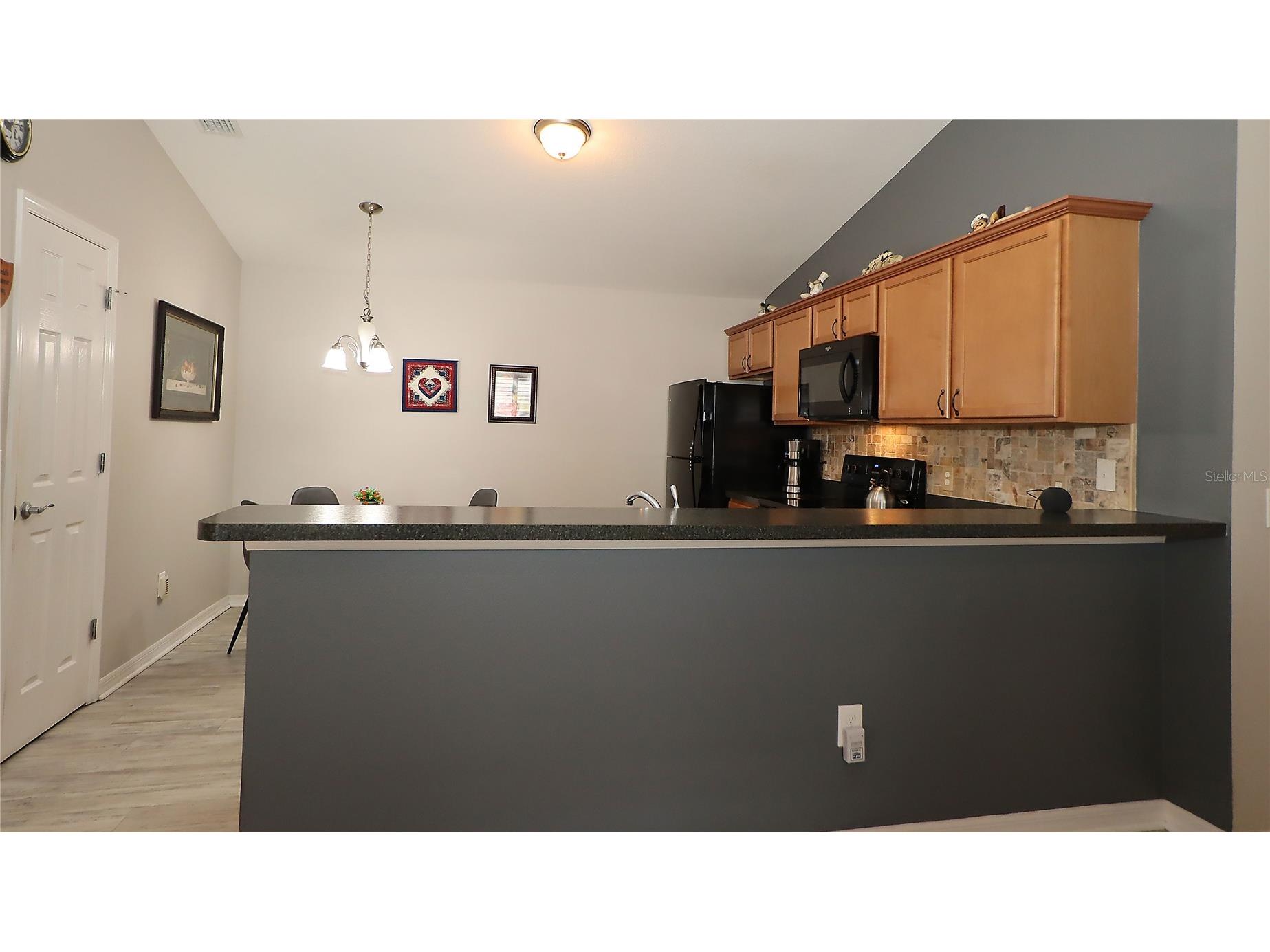 3772 Viscaya Court The Villages FL 32163 G5100399 image11