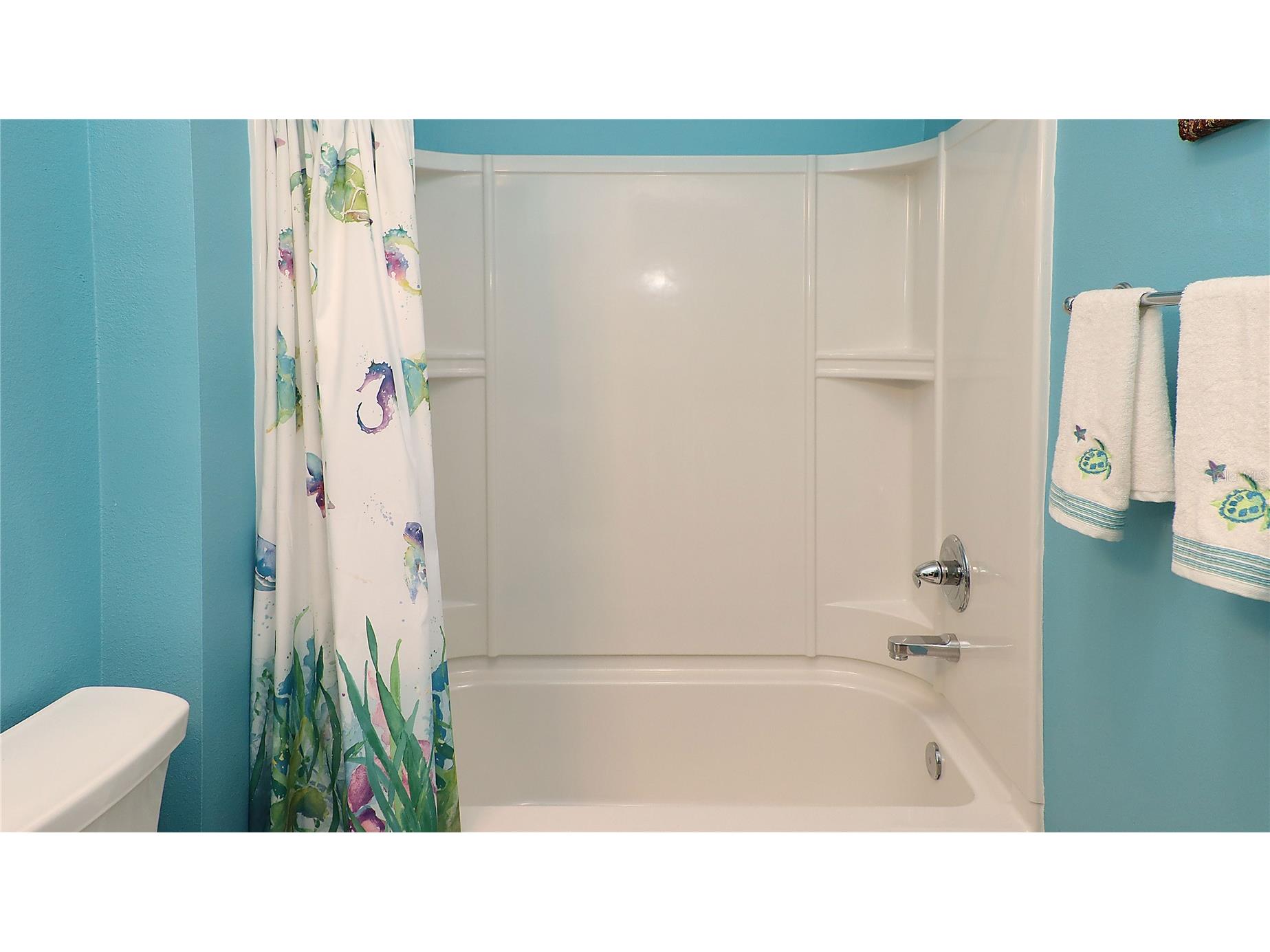 3772 Viscaya Court The Villages FL 32163 G5100399 image25