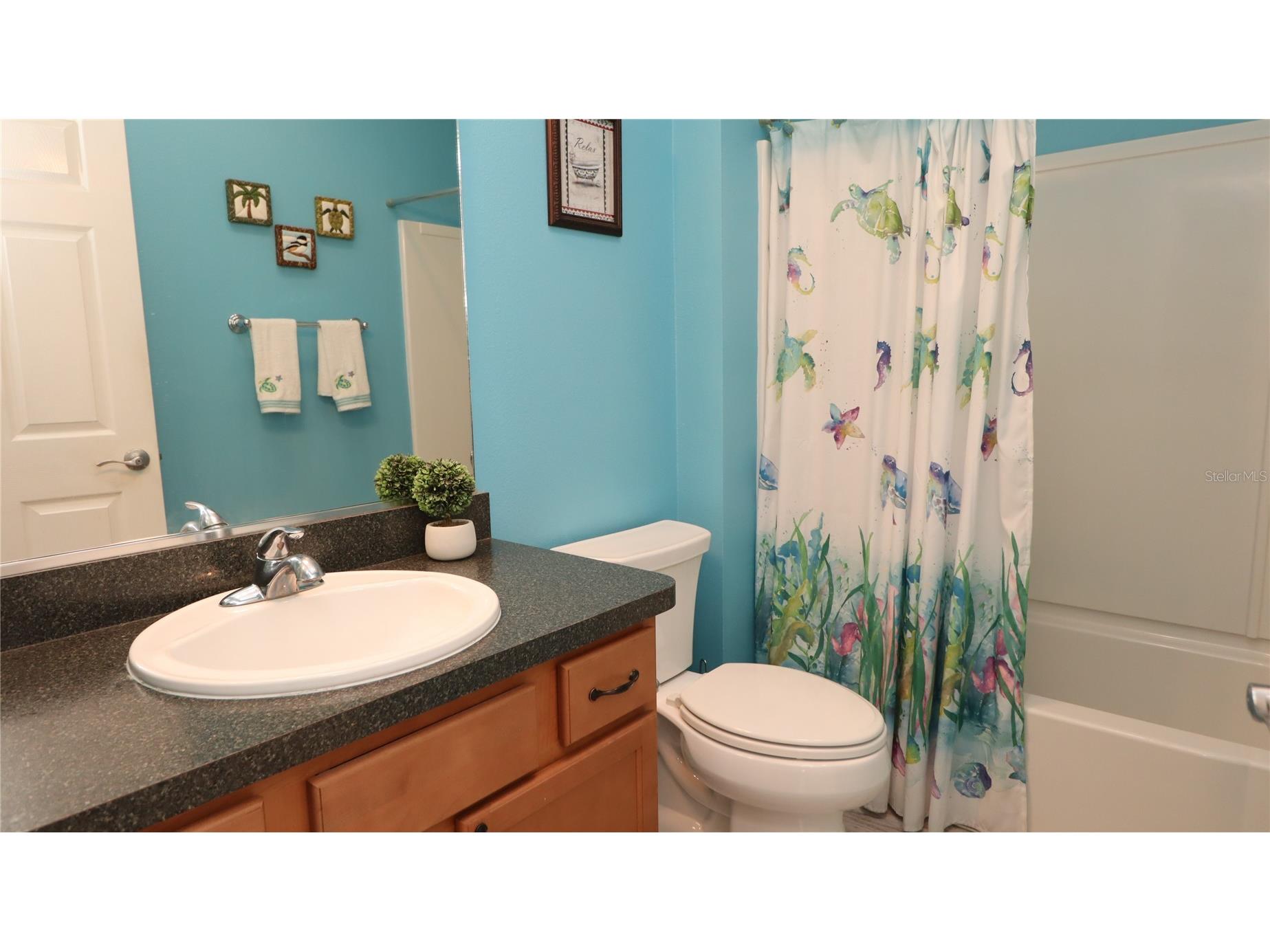 3772 Viscaya Court The Villages FL 32163 G5100399 image26