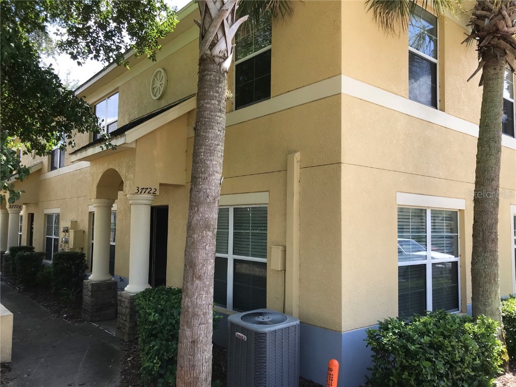37722 Aaralyn Road Zephyrhills FL 33542 TB8331724 image1