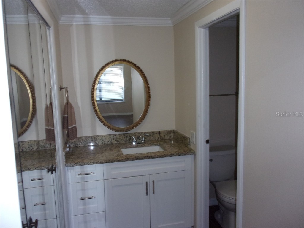 37724 Alissa Drive #37724 Zephyrhills FL 33542 TB8454110 image15