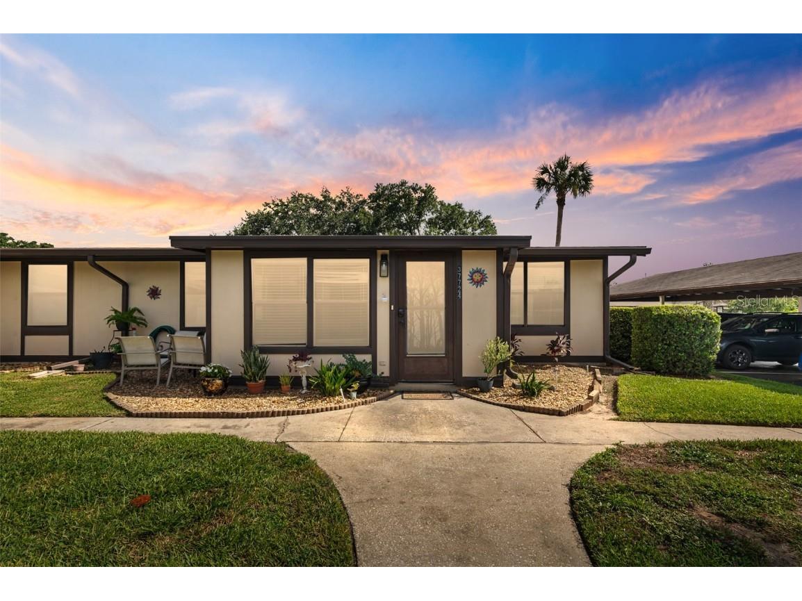 37724 Alissa Drive Zephyrhills FL 33542 TB8403599 image1