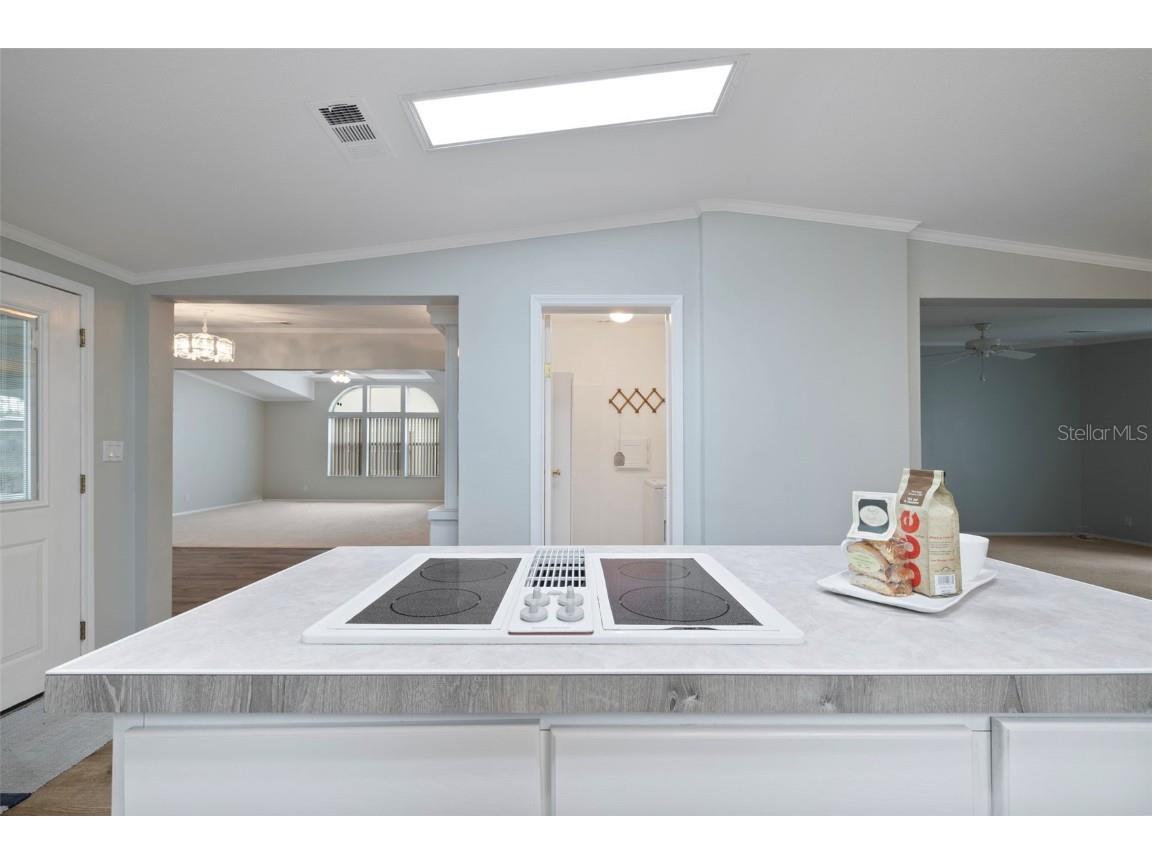 37729 Neukom Avenue Zephyrhills FL 33541 TB8404734 image8