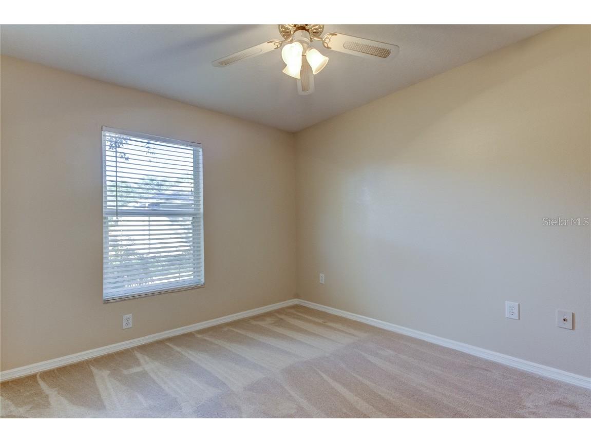 3773 Pendlebury Drive Palm Harbor FL 34685 TB8461825 image14