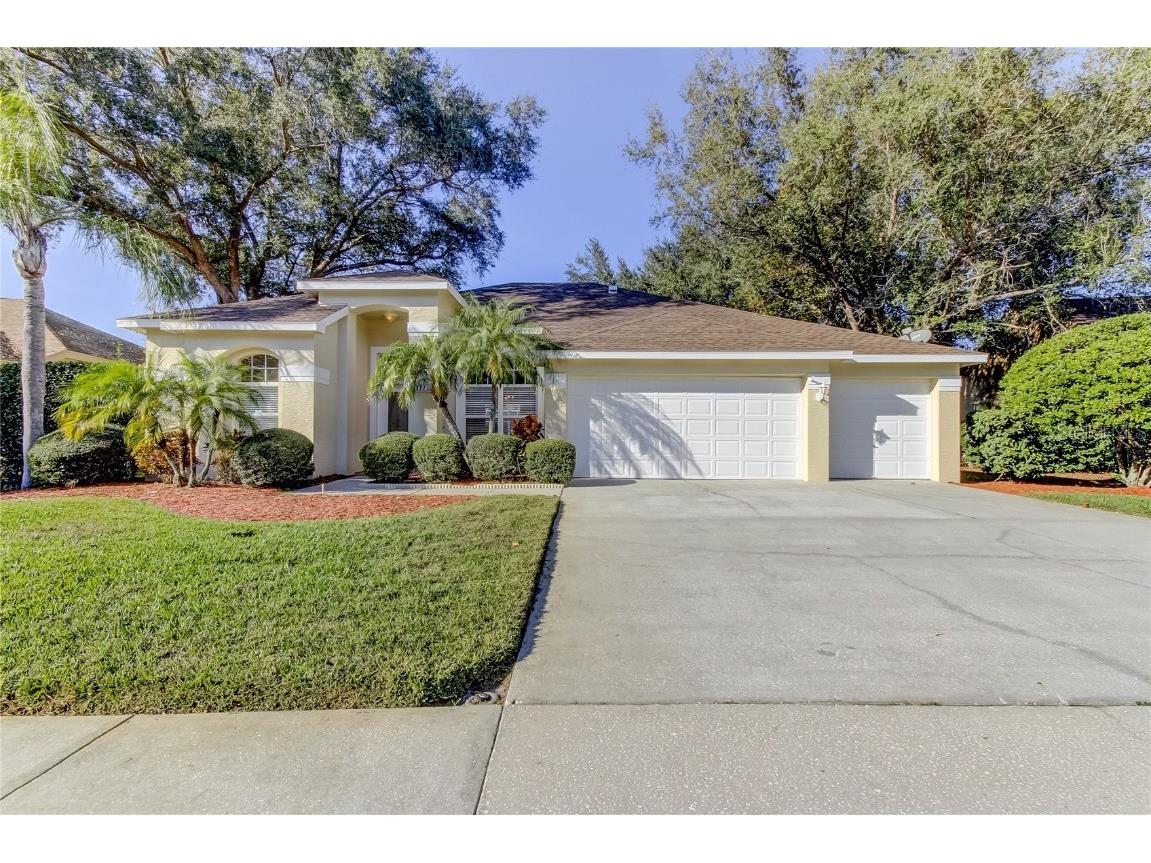 3773 Pendlebury Drive Palm Harbor FL 34685 TB8461825 image2