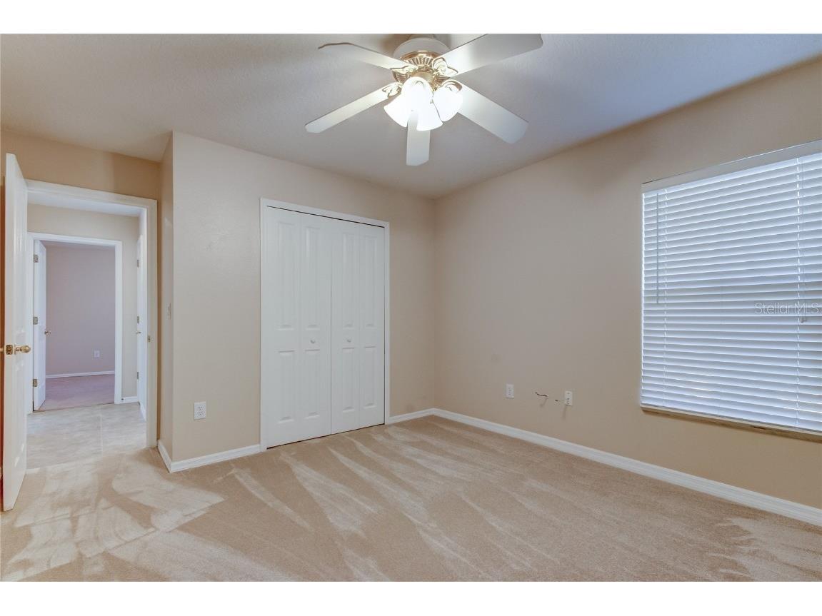 3773 Pendlebury Drive Palm Harbor FL 34685 TB8461825 image36