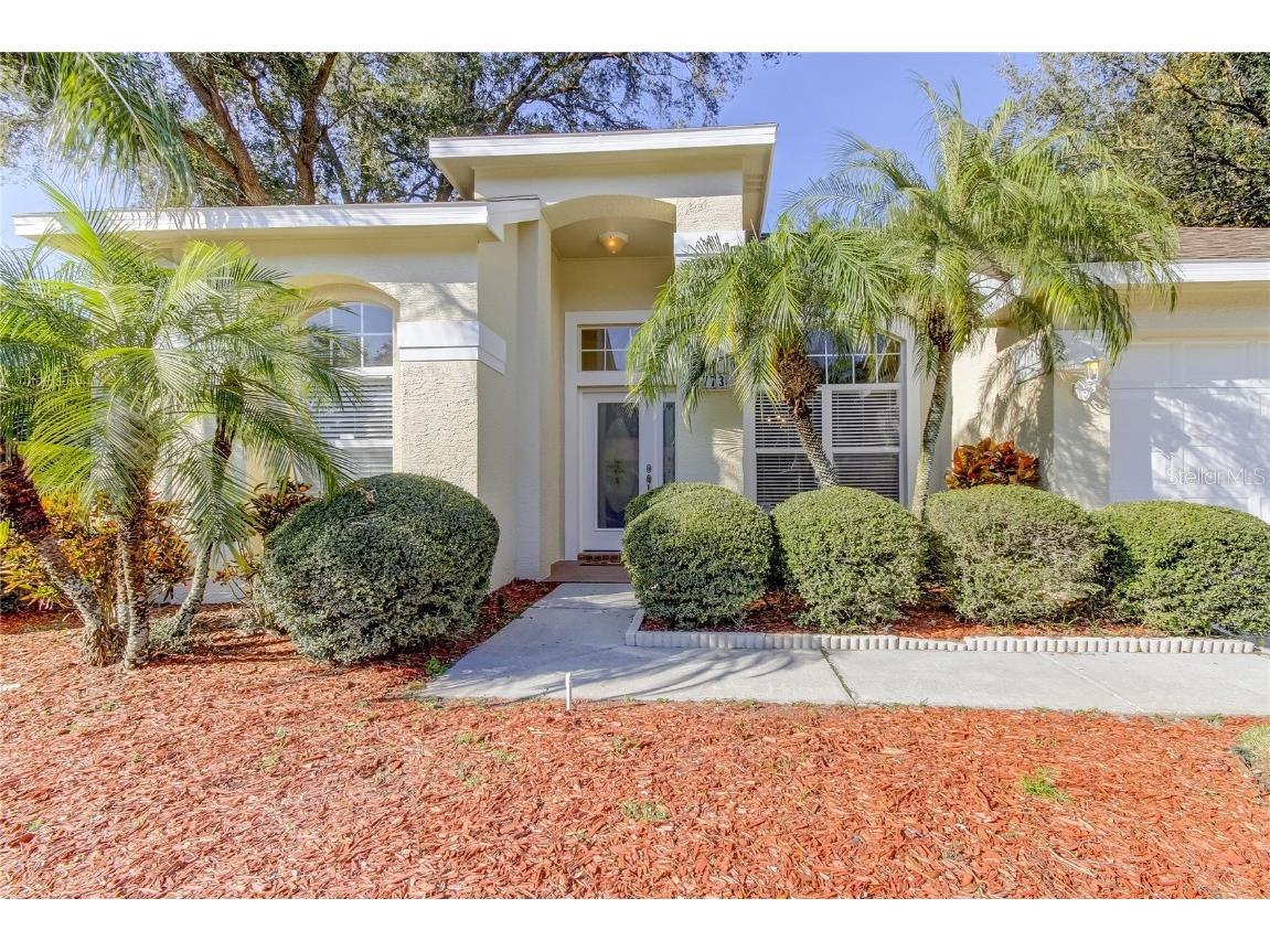 3773 Pendlebury Drive Palm Harbor FL 34685 TB8461825 image4