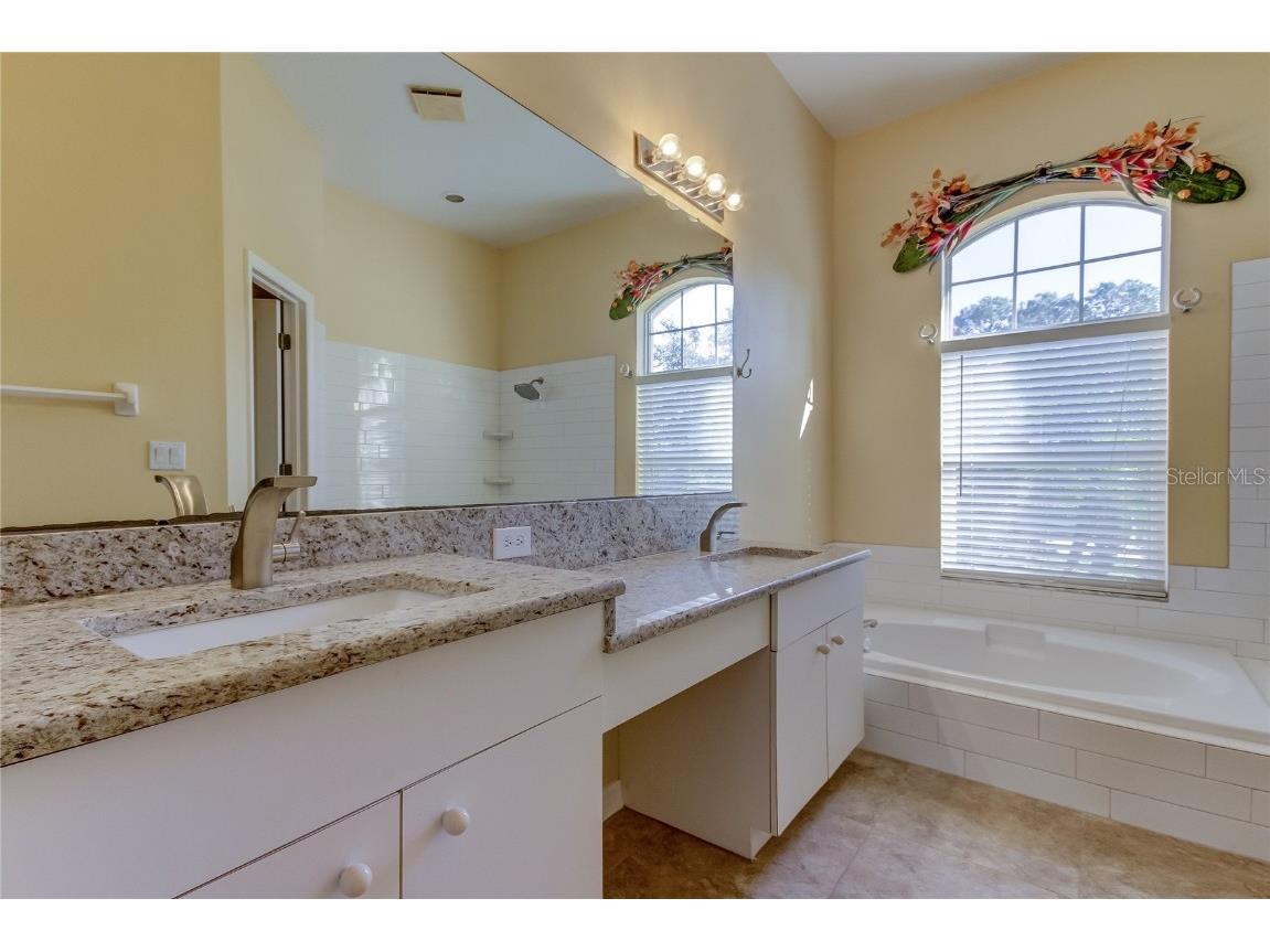 3773 Pendlebury Drive Palm Harbor FL 34685 TB8461825 image46