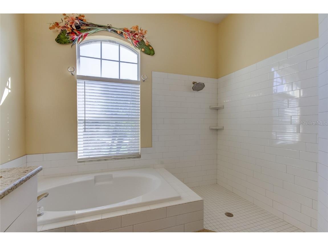 3773 Pendlebury Drive Palm Harbor FL 34685 TB8461825 image47