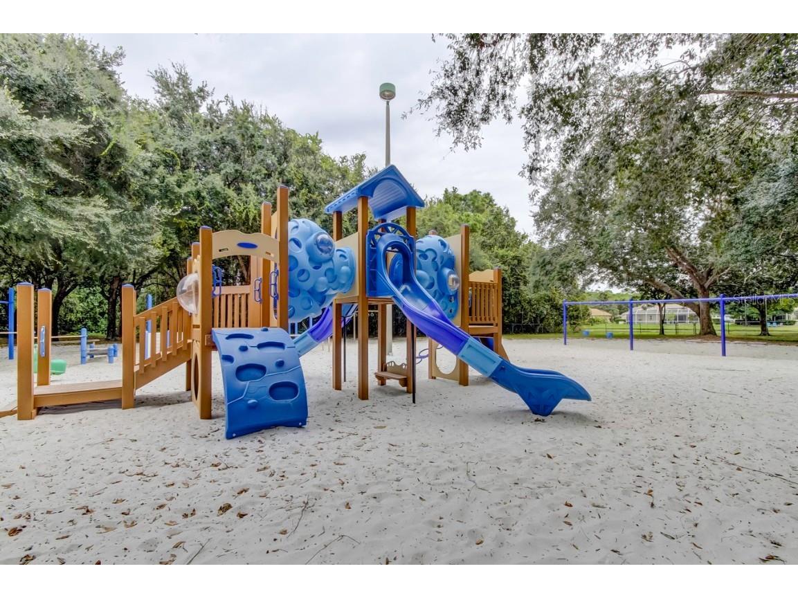 3773 Pendlebury Drive Palm Harbor FL 34685 TB8461825 image58