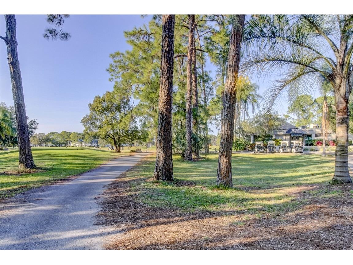 3773 Pendlebury Drive Palm Harbor FL 34685 TB8461825 image59