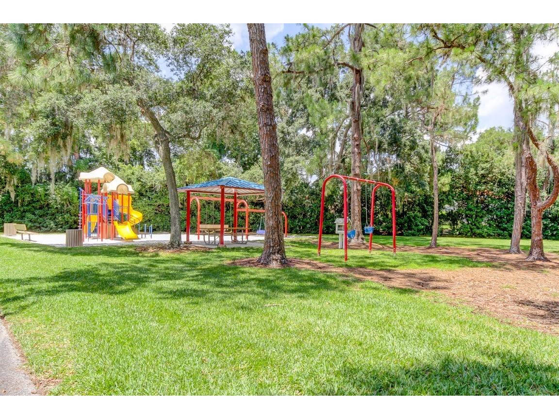 3773 Pendlebury Drive Palm Harbor FL 34685 TB8461825 image64