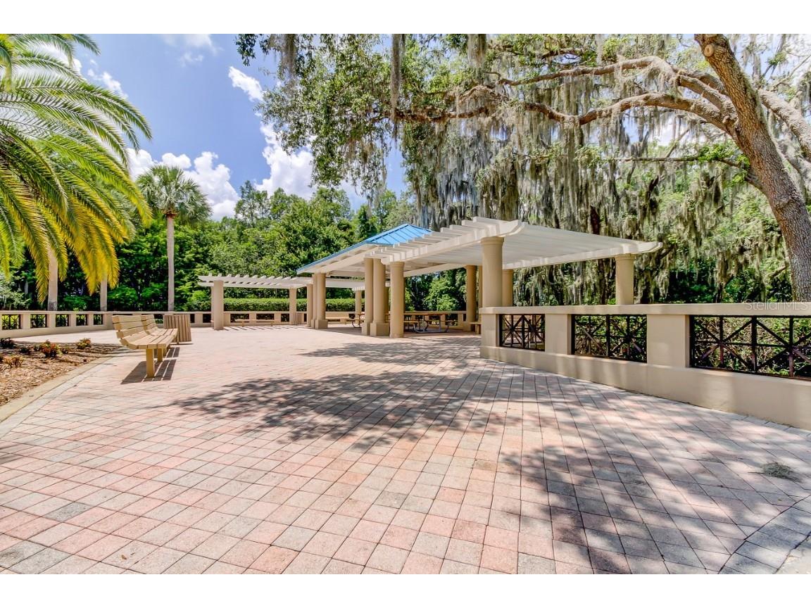 3773 Pendlebury Drive Palm Harbor FL 34685 TB8461825 image65