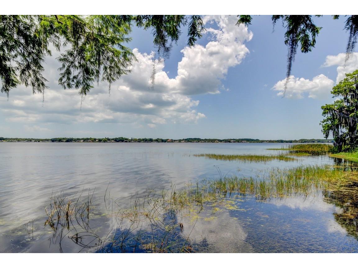 3773 Pendlebury Drive Palm Harbor FL 34685 TB8461825 image67