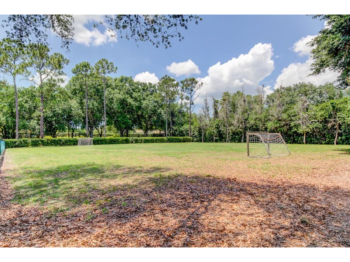 3773 Pendlebury Drive Palm Harbor FL 34685 TB8461825 image68