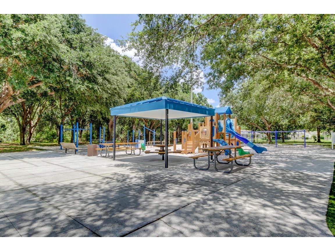 3773 Pendlebury Drive Palm Harbor FL 34685 TB8461825 image69