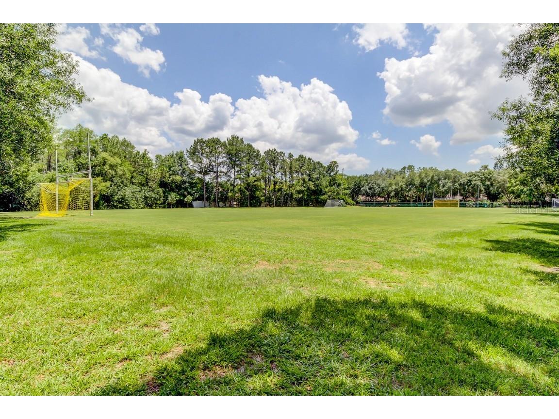 3773 Pendlebury Drive Palm Harbor FL 34685 TB8461825 image70