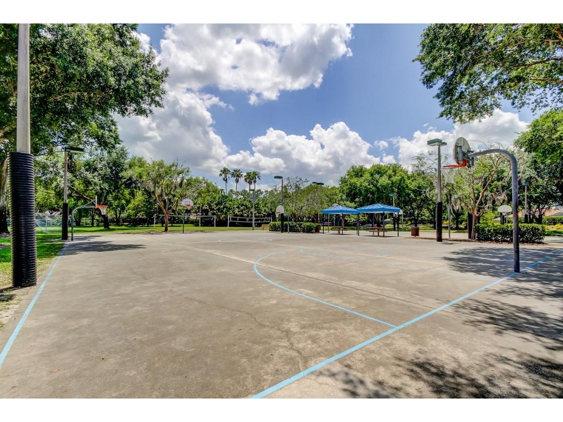 3773 Pendlebury Drive Palm Harbor FL 34685 TB8461825 image71