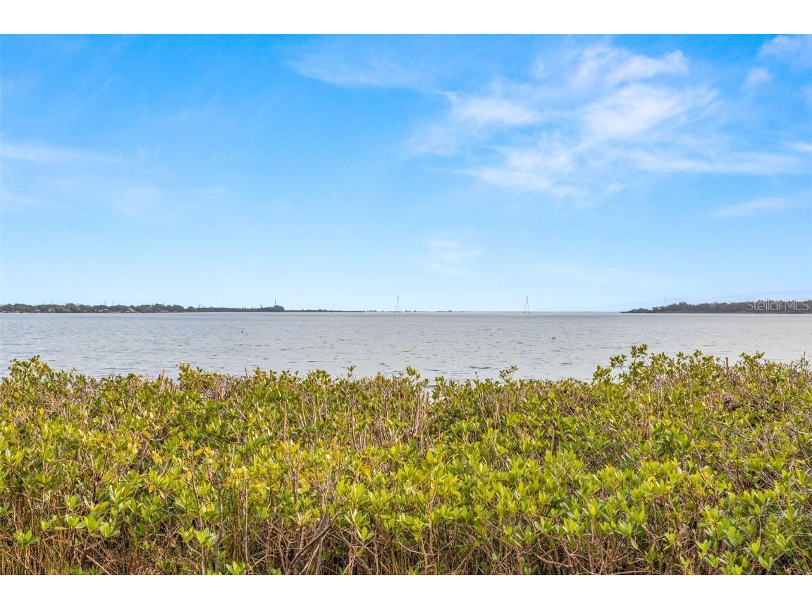 3773 Shore Boulevard Oldsmar FL 34677 U8228274 image1