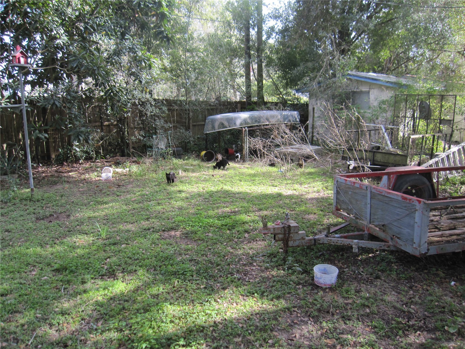 37736 Phelps Road Zephyrhills FL 33541 TB8476123 image10