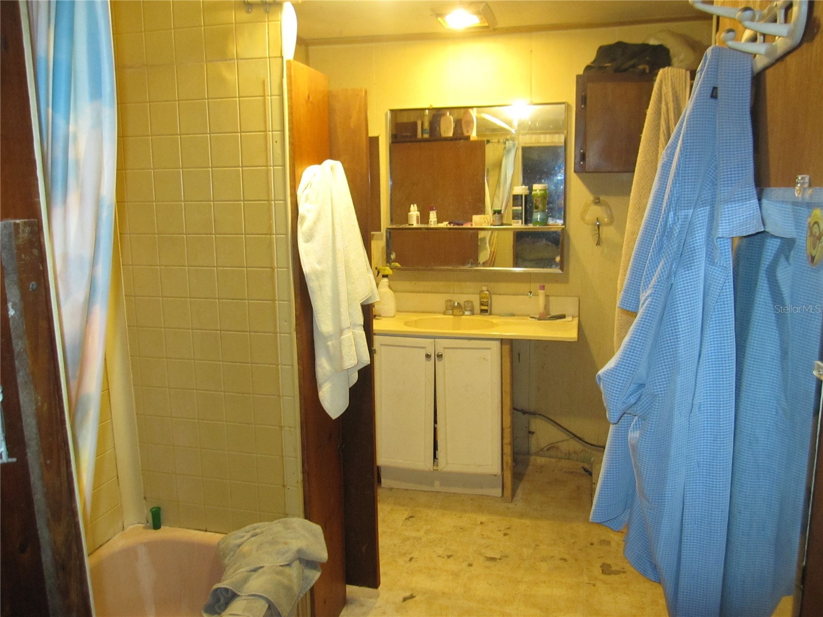 37736 Phelps Road Zephyrhills FL 33541 TB8476123 image14