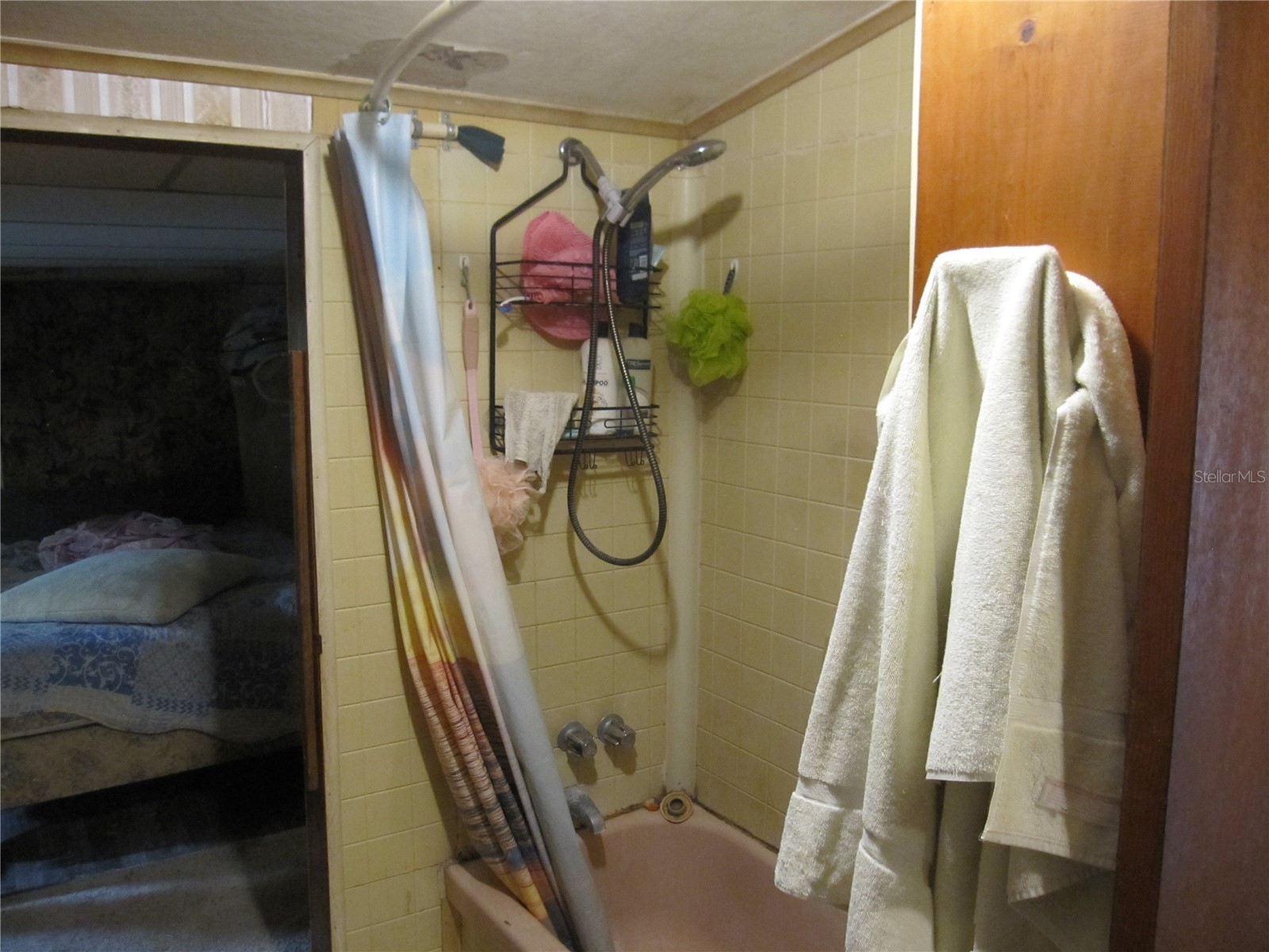 37736 Phelps Road Zephyrhills FL 33541 TB8476123 image15