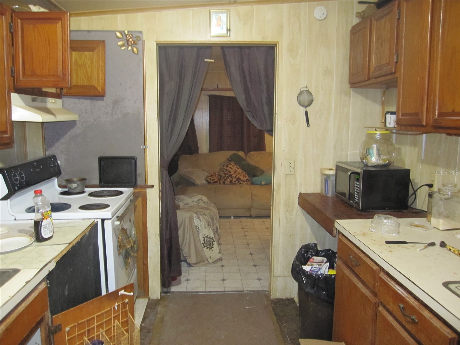 37736 Phelps Road Zephyrhills FL 33541 TB8476123 image19