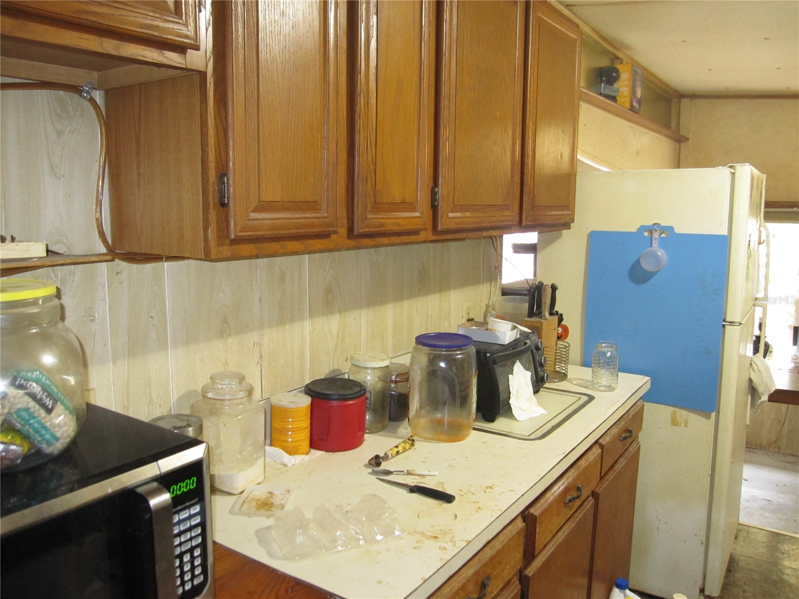 37736 Phelps Road Zephyrhills FL 33541 TB8476123 image22