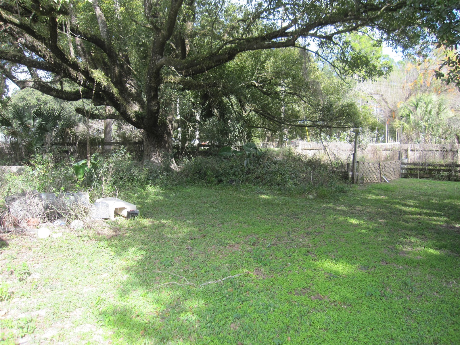 37736 Phelps Road Zephyrhills FL 33541 TB8476123 image3