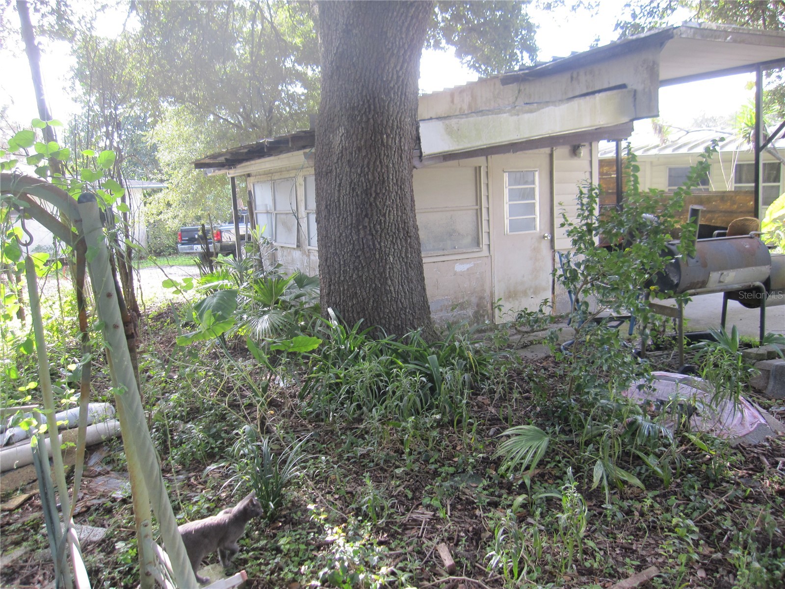 37736 Phelps Road Zephyrhills FL 33541 TB8476123 image5