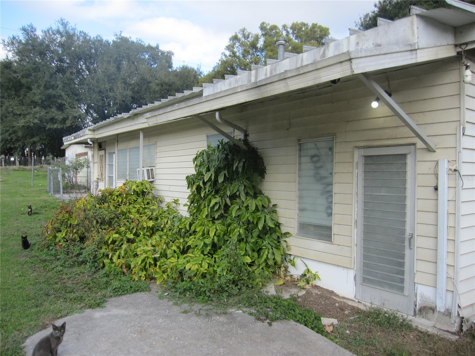 37736 Phelps Road Zephyrhills FL 33541 TB8476123 image7