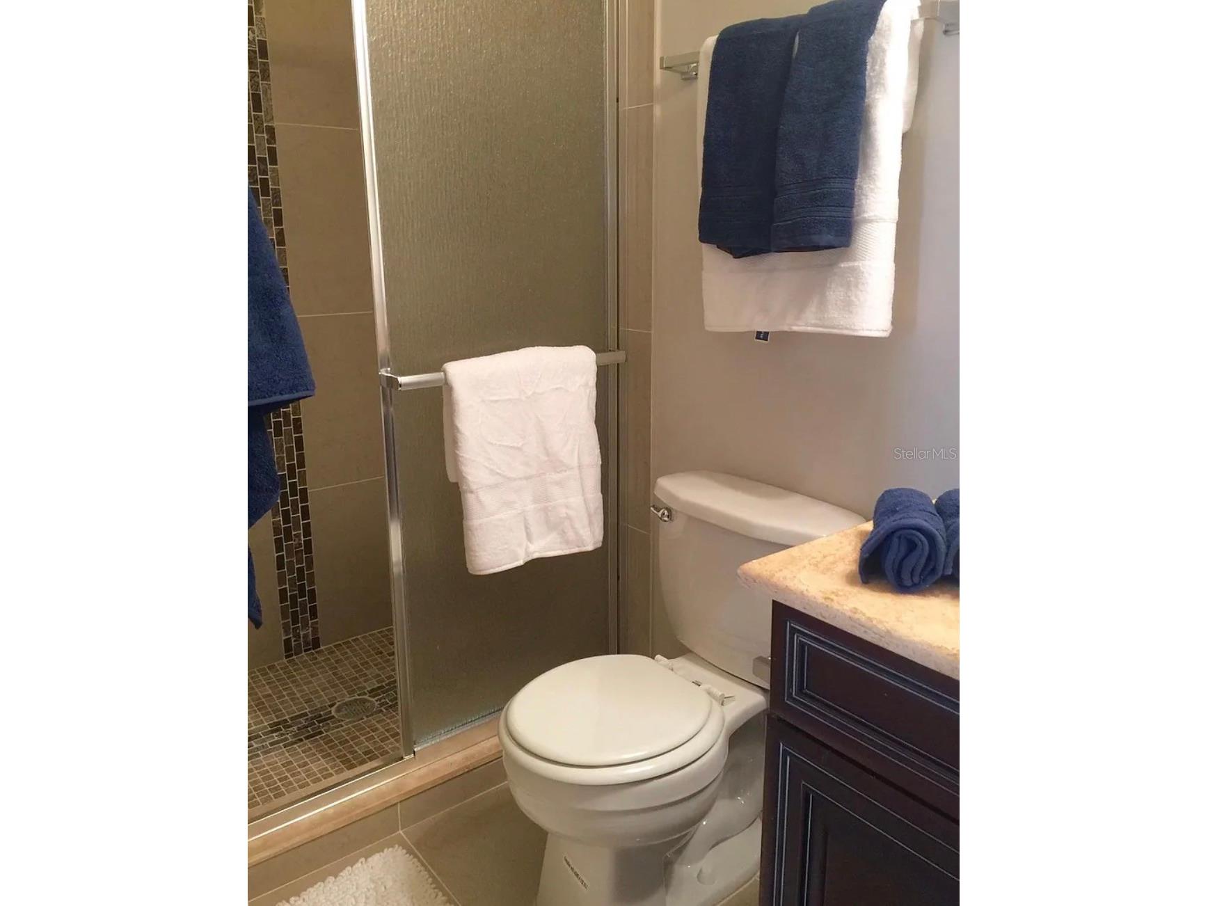 3774 Rainforest Court Bradenton FL 34209 A4693598 image19