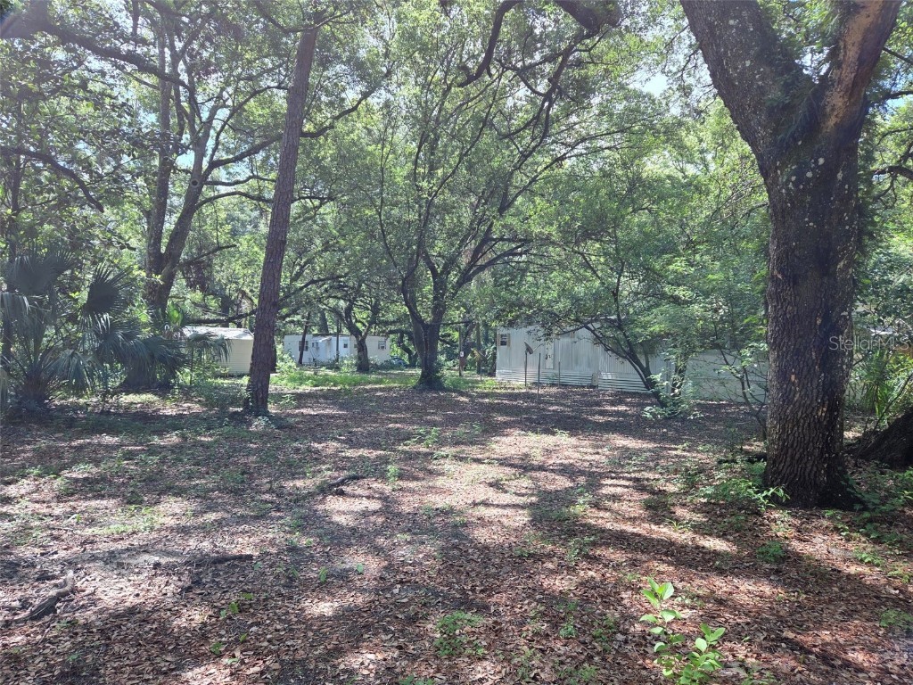 37742 Glades Lane Zephyrhills FL 33542 TB8406931 image11