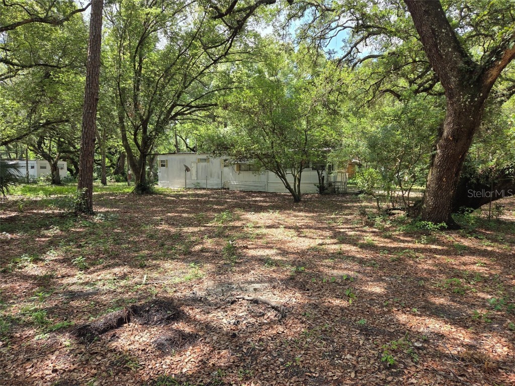 37742 Glades Lane Zephyrhills FL 33542 TB8406931 image12