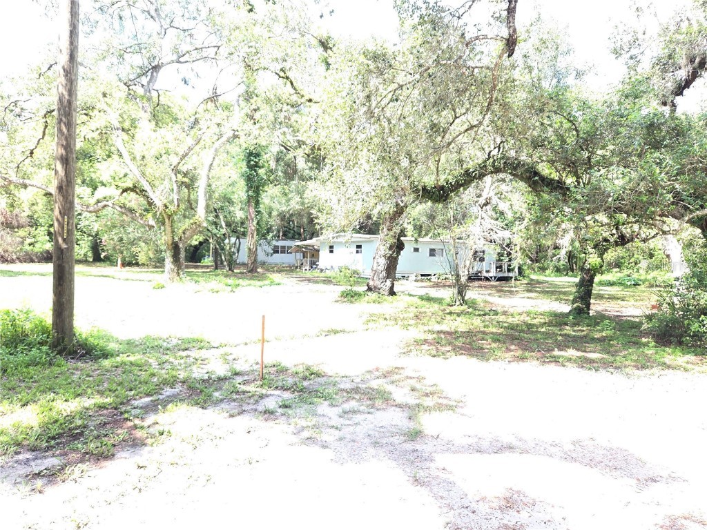 37742 Glades Lane Zephyrhills FL 33542 TB8406931 image16