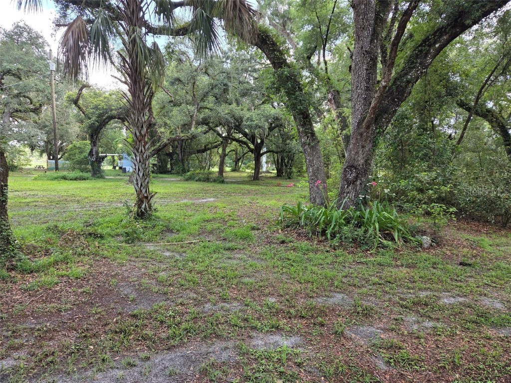 37742 Glades Lane Zephyrhills FL 33542 TB8406931 image2