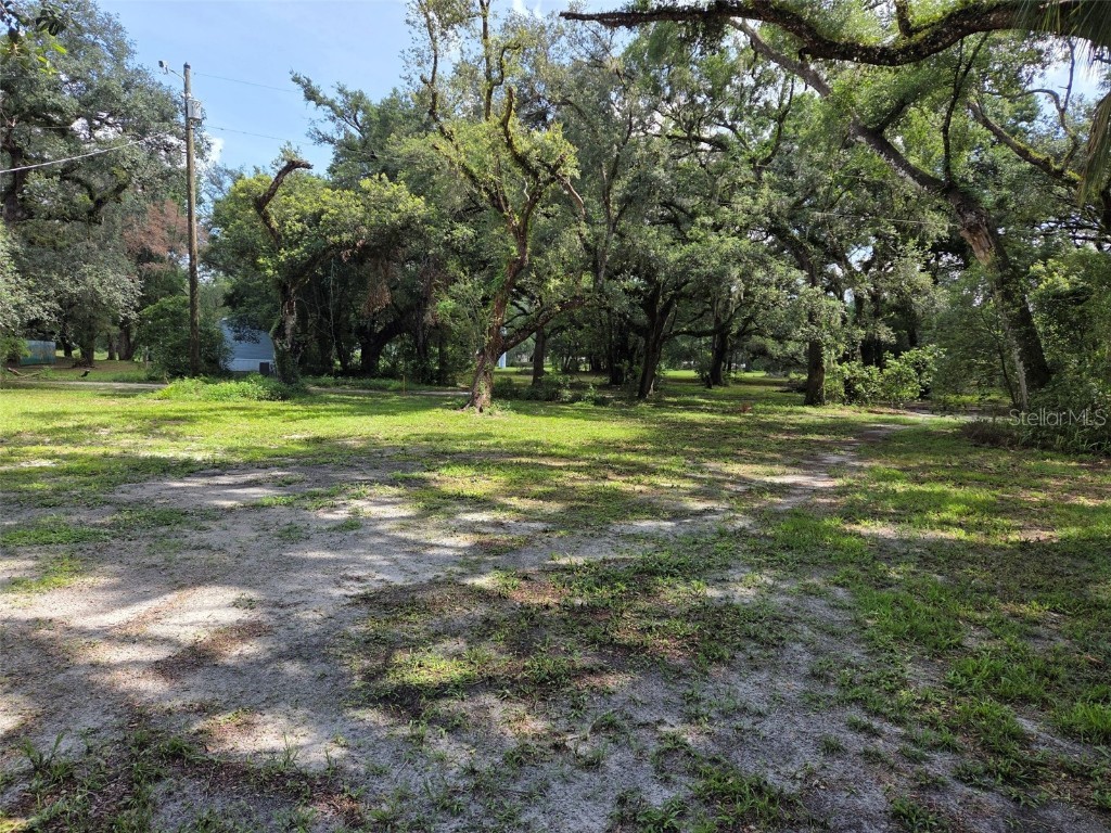 37742 Glades Lane Zephyrhills FL 33542 TB8406931 image4