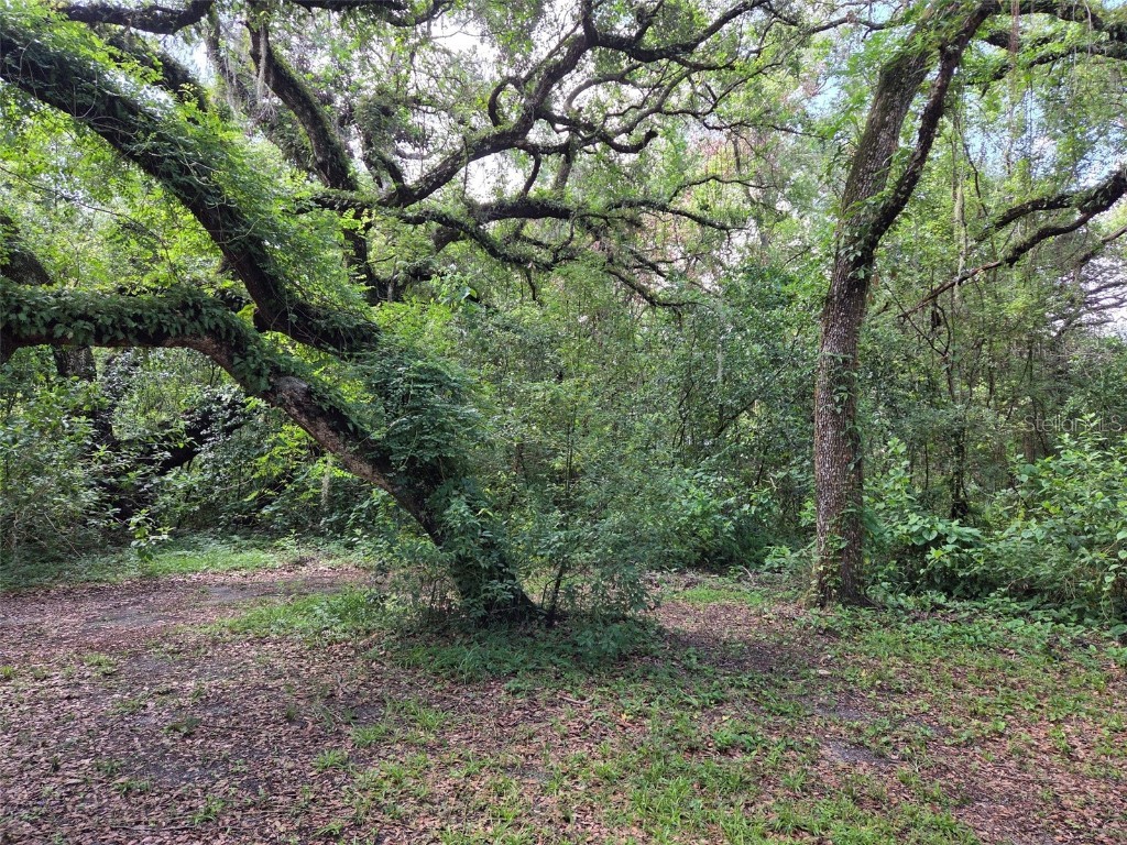 37742 Glades Lane Zephyrhills FL 33542 TB8406931 image5