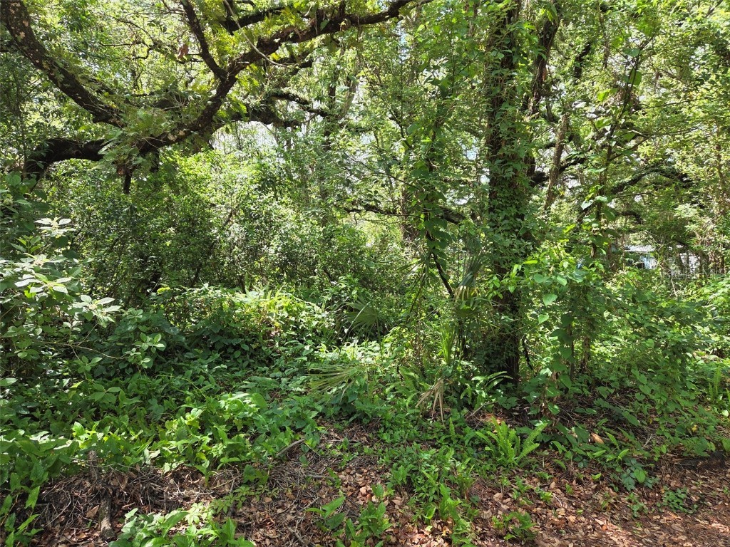 37742 Glades Lane Zephyrhills FL 33542 TB8406931 image8