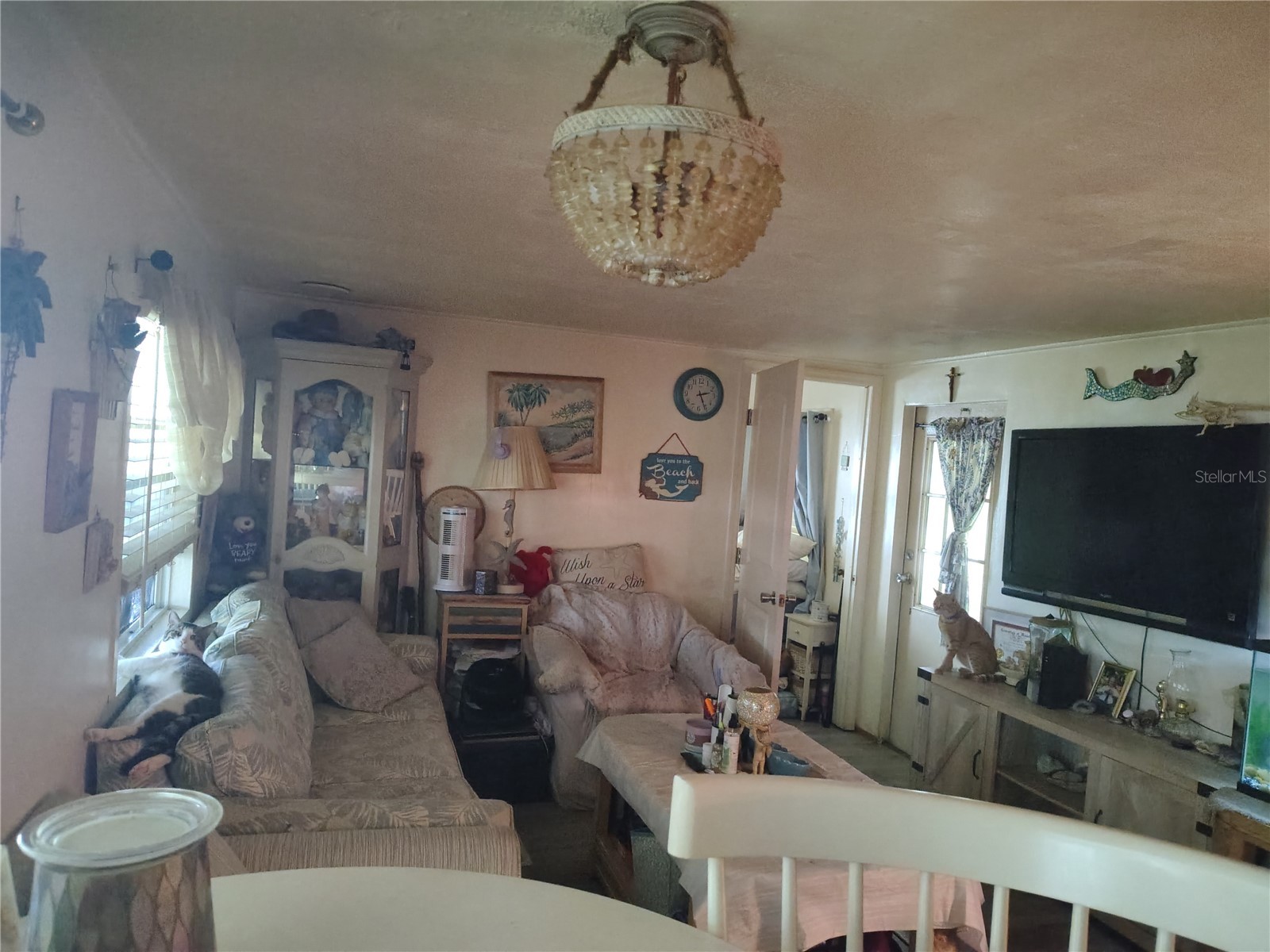 37748 Markland Avenue Zephyrhills FL 33542 TB8509305 image5