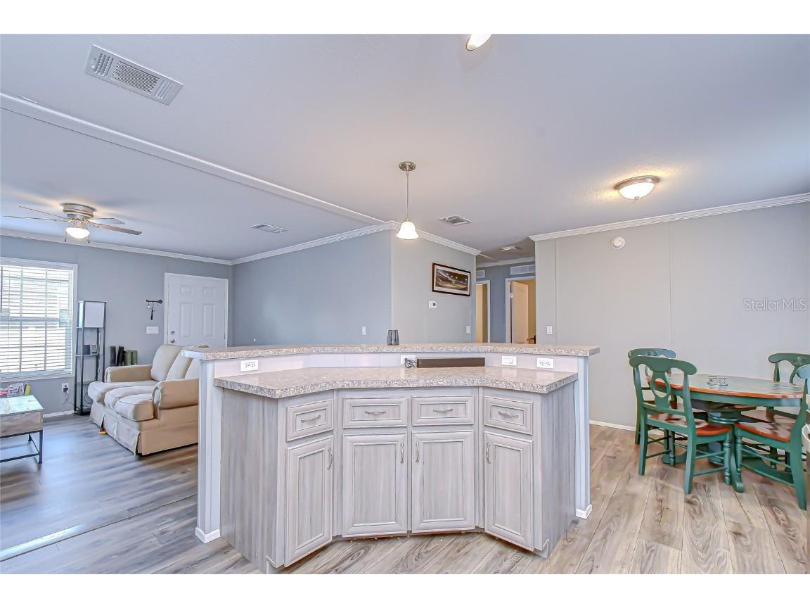 37749 Geiger Road Zephyrhills FL 33542 TB8452946 image14