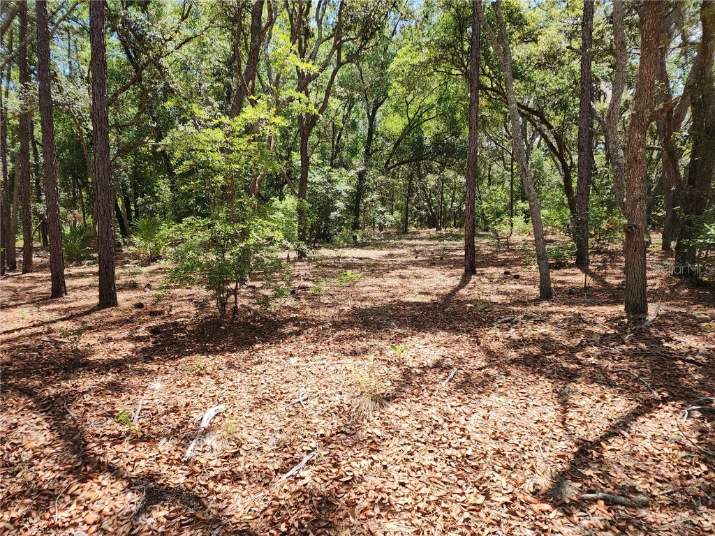 3775/3787 S Osprey Point Inverness FL 34450 TB8390021 image1