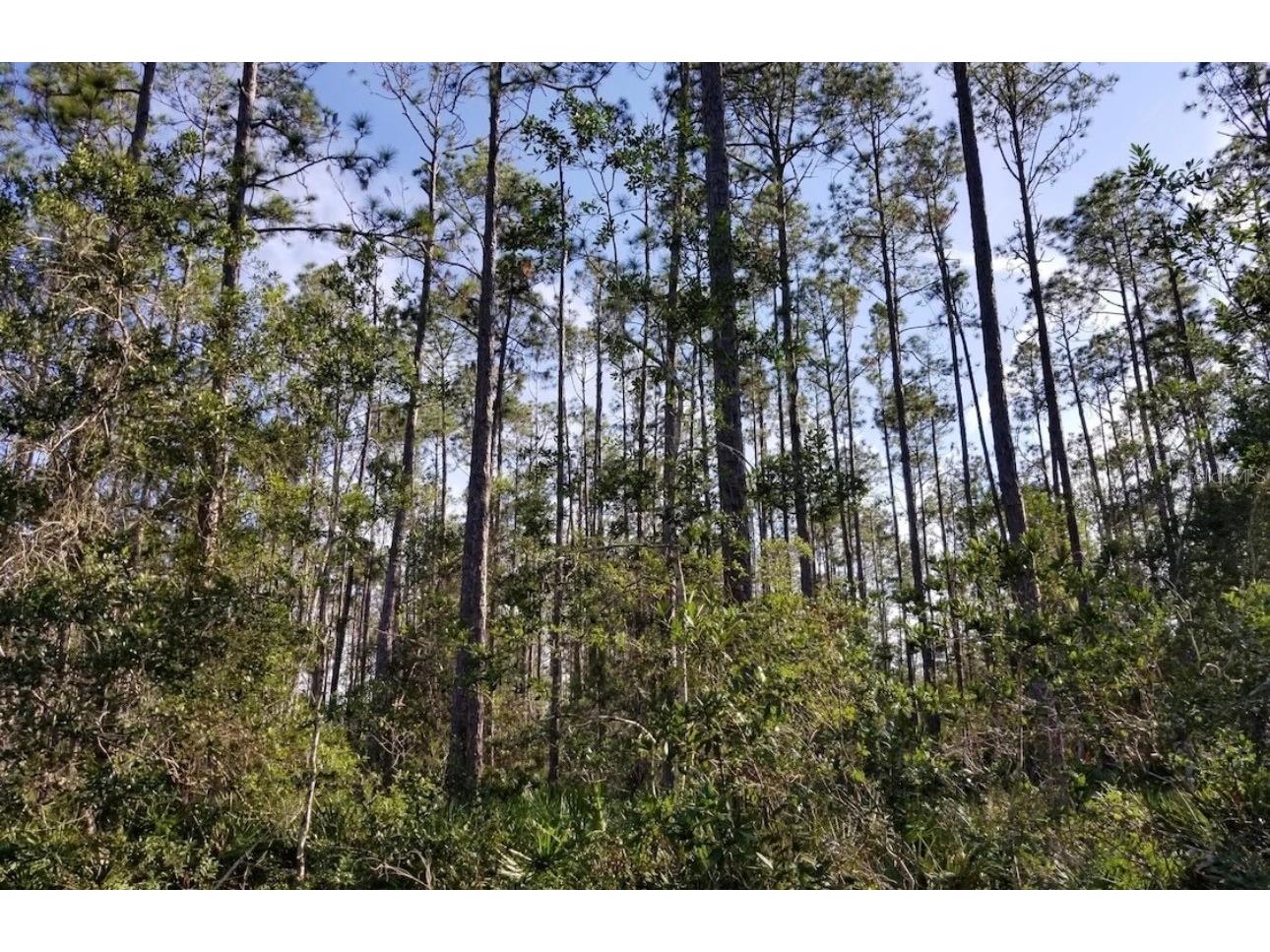 3775 Breezy Court Ormond Beach FL 32174 O6397410 image3