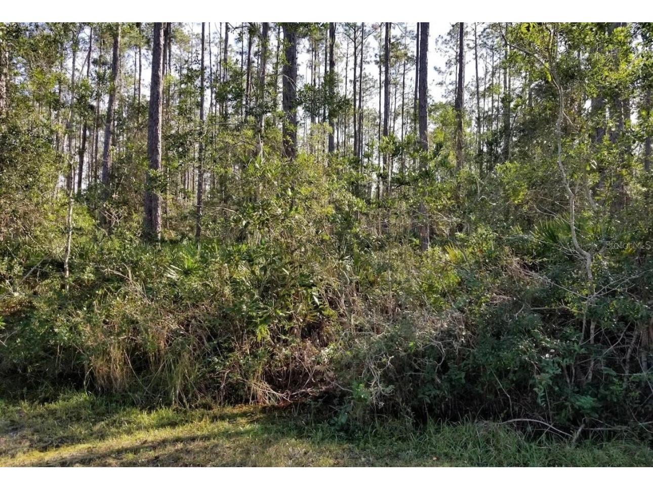 3775 Breezy Court Ormond Beach FL 32174 O6397410 image6