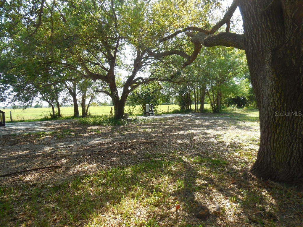 3775 NE Bonanza Park Avenue Arcadia FL 34266 C7506561 image10