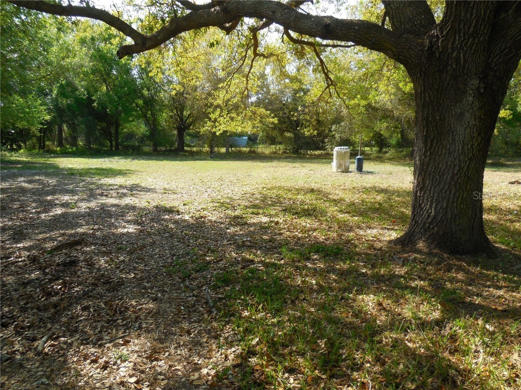 3775 NE Bonanza Park Avenue Arcadia FL 34266 C7506561 image11