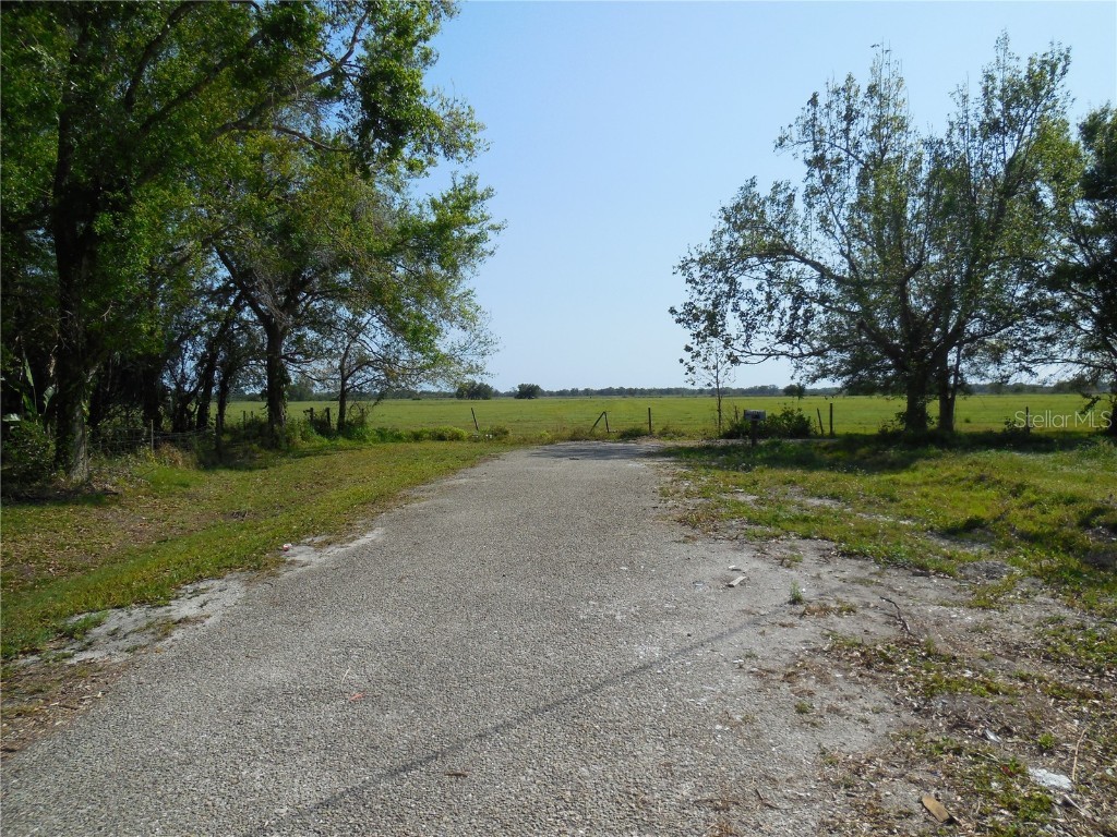 3775 NE Bonanza Park Avenue Arcadia FL 34266 C7506561 image6