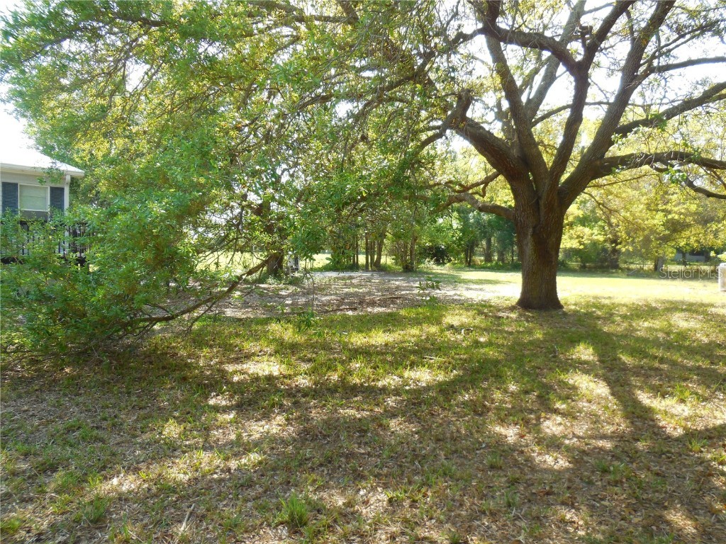 3775 NE Bonanza Park Avenue Arcadia FL 34266 C7506561 image9