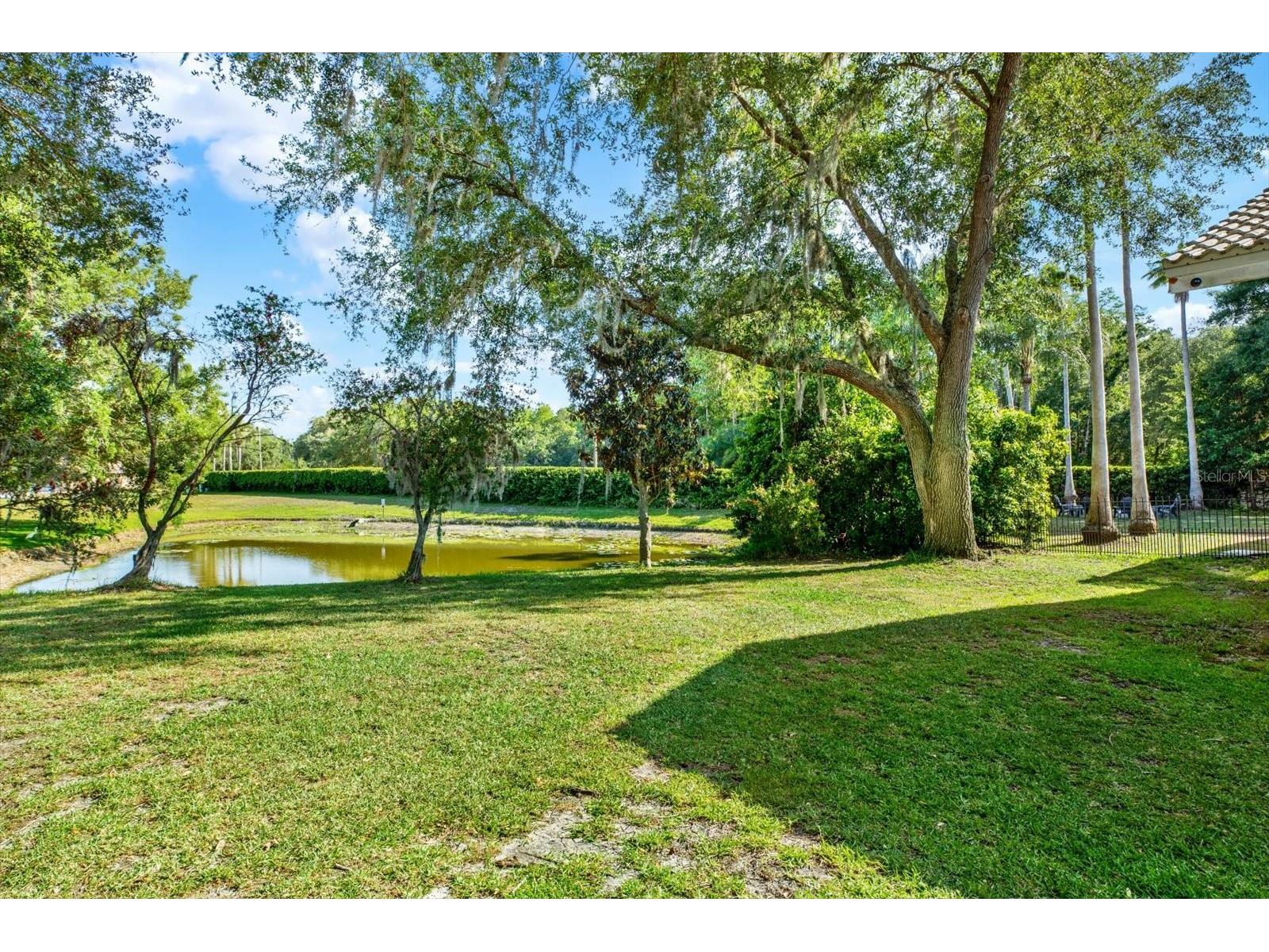 3775 Wellington Pkwy Palm Harbor FL 34685 TB8506753 image51